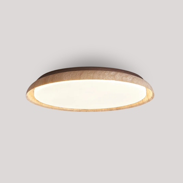 Ada Ceiling Light