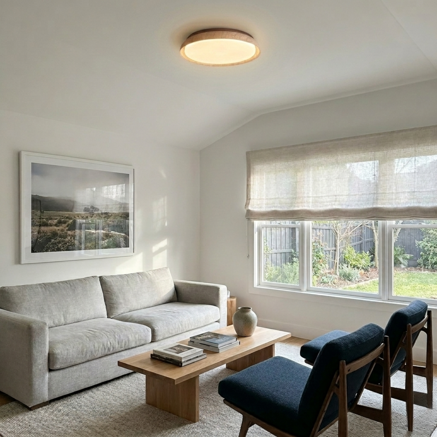Ada Ceiling Light