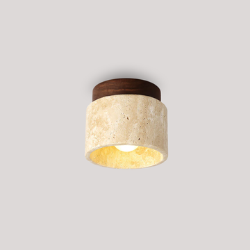 Olin Ceiling Light